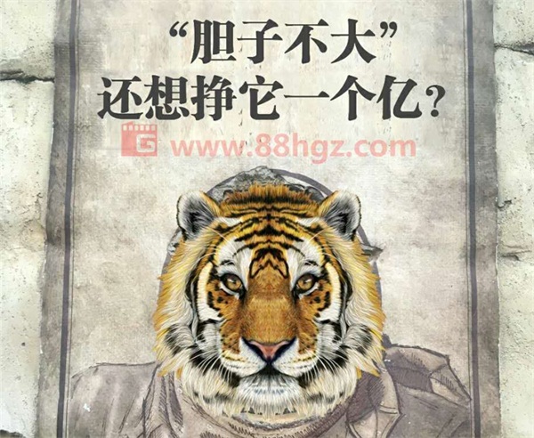 還能更高嗎？與迪瑪希共鳴的，是我們追隨企業(yè)宣傳片的信仰